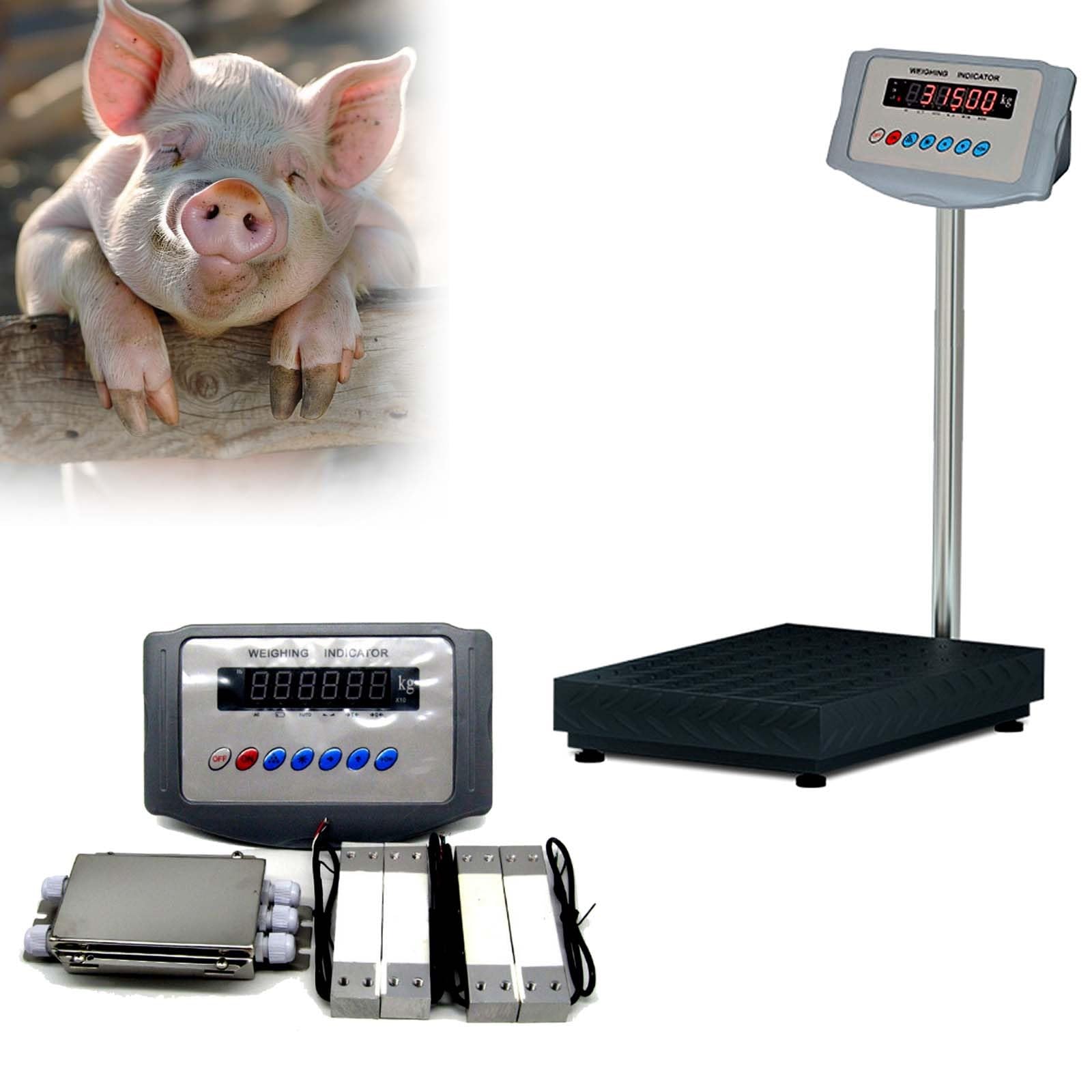 Kit Bilancia Multi-Animale, 5000kg/11023lbs Piattaforma Pesatura Bestiame con Display LED Luminoso e Precisione C3, Bilancia Fattoria Robust per Bovini, Suini, Pecore, Capre, Alpaca(3t)