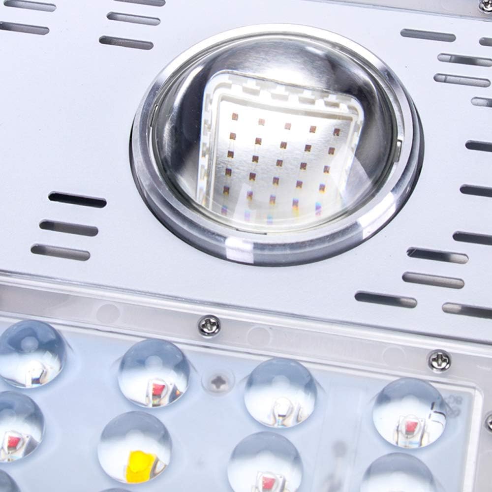 600W Dimmable LED Plant Grow Light,12-Band Full Spectrum COB Led Grow Lights with Dimmable Veg/Bloom Channels for Indoor Plants Veg and Flower