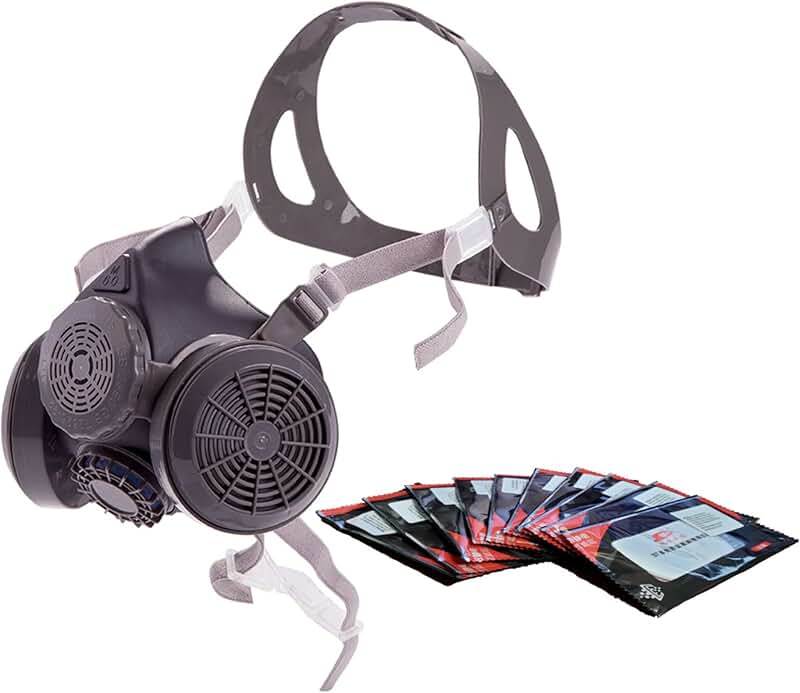 Amazon.ca paint mask