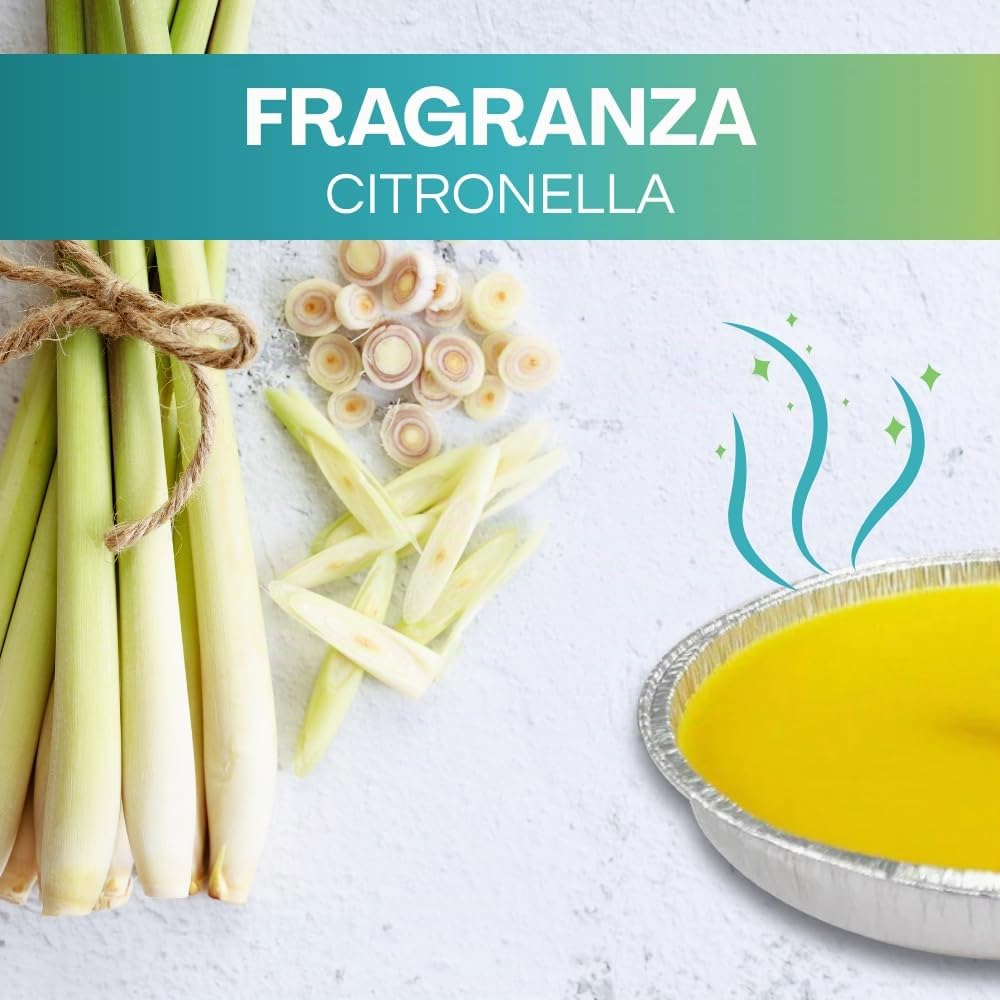 Palucart Candele citronella Giardino citronella Alluminio 16 cm Set da 30 Pezzi Giardinaggio antizanzare Feste ed Eventi - C