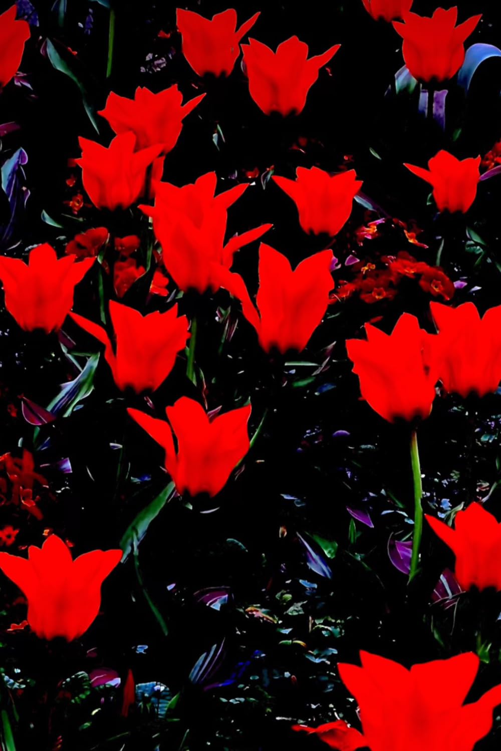 Sharp Edges