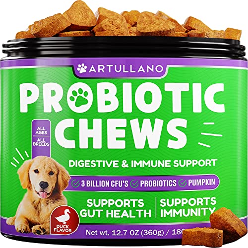 Top 10 Natural Probiotic For Dogs of 2022 Katynel