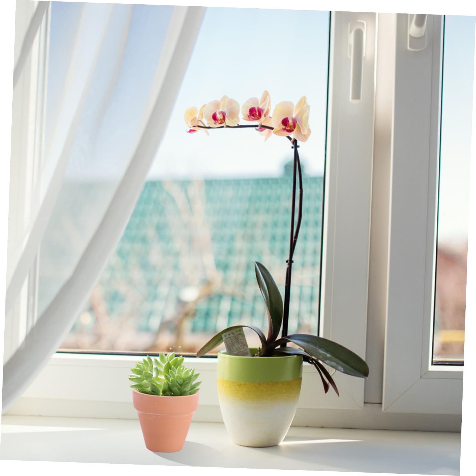 VANZACK Vasi Piccoli Fori di Drenaggio in Terracotta Rossa 10 Pezzi per Piante Succulente e Cactus per Decorazioni Casa e Bomboniere Shower
