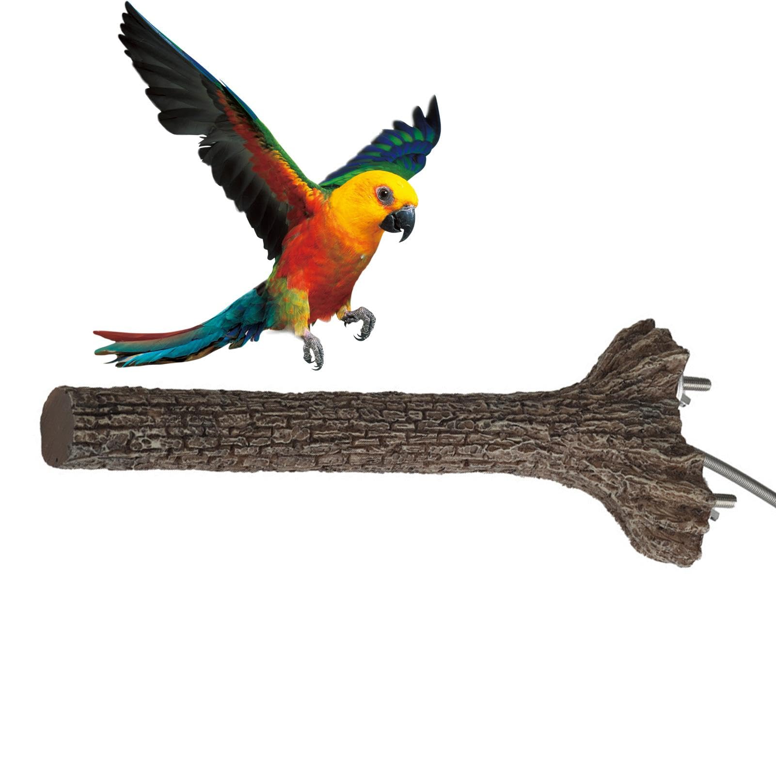 Perchoir chauffant pour cage protégeant les oiseaux du froid hivernal