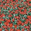 Strawberry Filled Hard Candy - 3 lbs - Classic Strawberry Flavored Bon Bons Filled with Chewy Candy - Bulk American Vintage Candy Assortment - Individually Wrapped, 48 oz.
