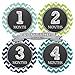 Months in Motion 072 Monthly Baby Stickers Baby Boy Month 1-12 Milestone Age
