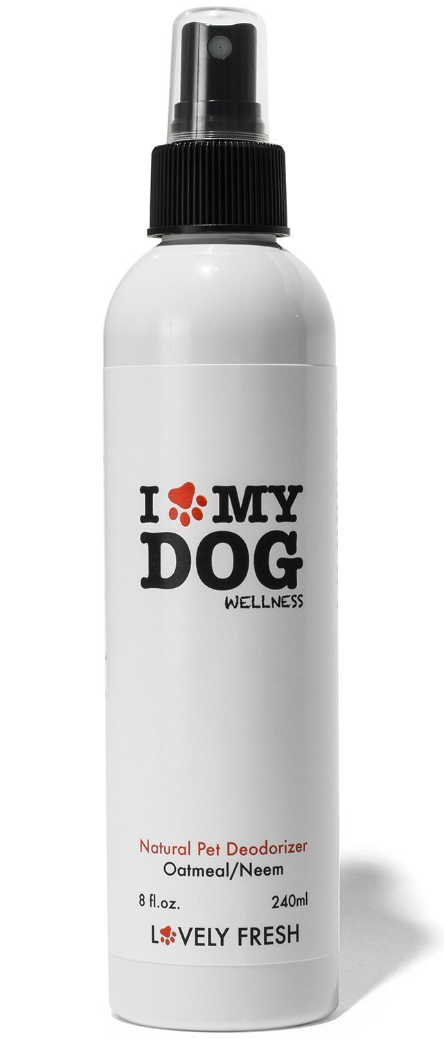 How To Keep Your Dog From Smelling In Between Baths