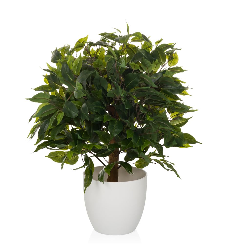 hjh OFFICE Planta Artificial 65 cm FICUS II Planta Artificial Decorativa, Higo de Abedul, árbol Artificial de fácil Cuidado