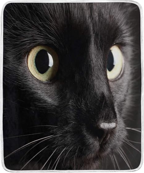 Amazon｜ひざ掛け ブランケット 大判 マイクロファイバー 猫 黒猫柄 - 猫 発
熱