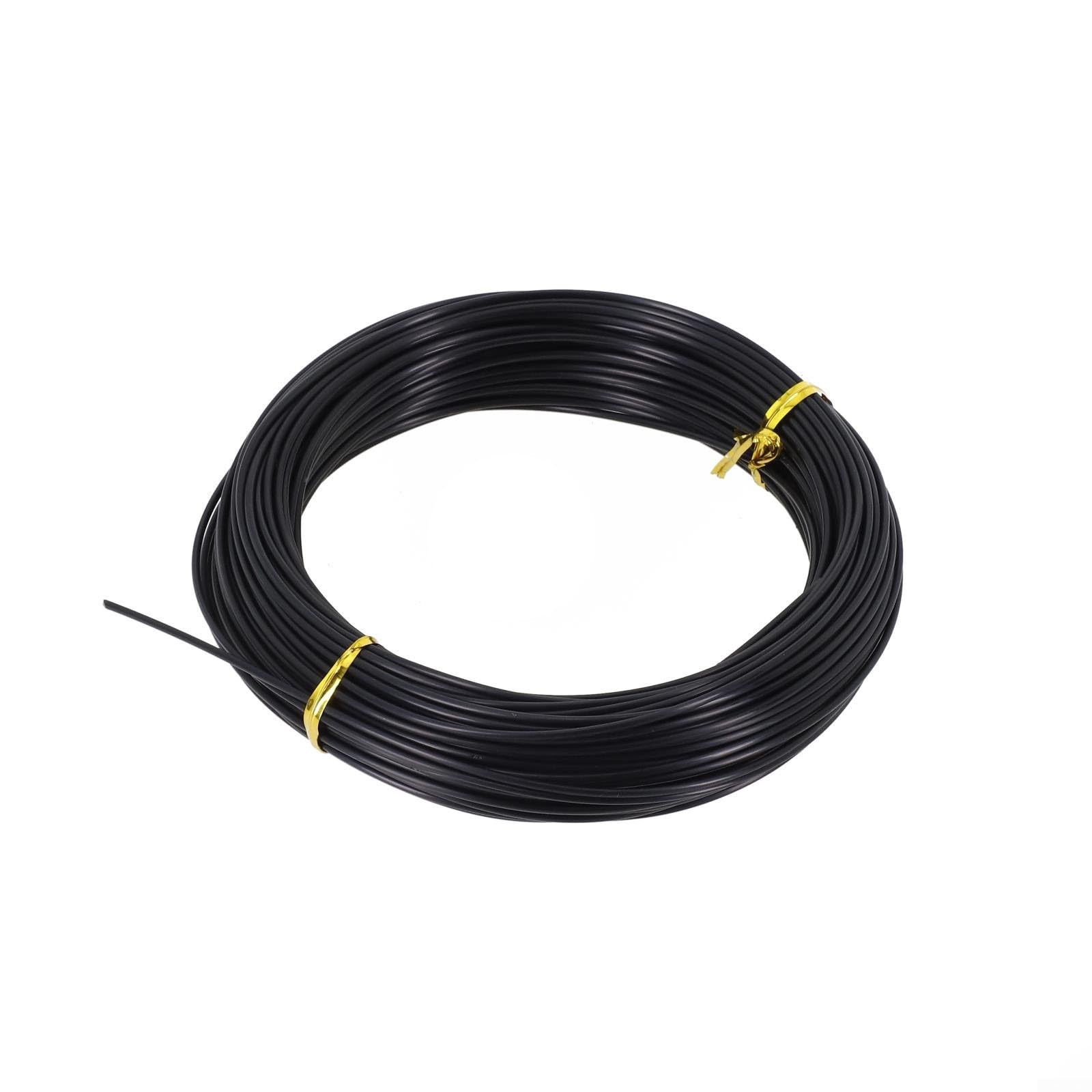 Cuerda de pesca de línea larga de monofilamento, línea de pesca submarina de nailon de 30 m, líder de pesca de barco de alta resistencia para pesca de pesca en aguas profundas, negro, 1.6 mm