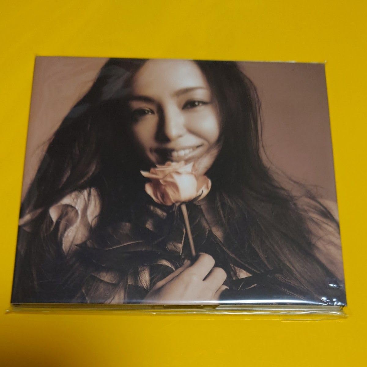 DVD 「安室奈美恵 / SPOT Single COLLECTION 」Finally 会場限定｜DVD