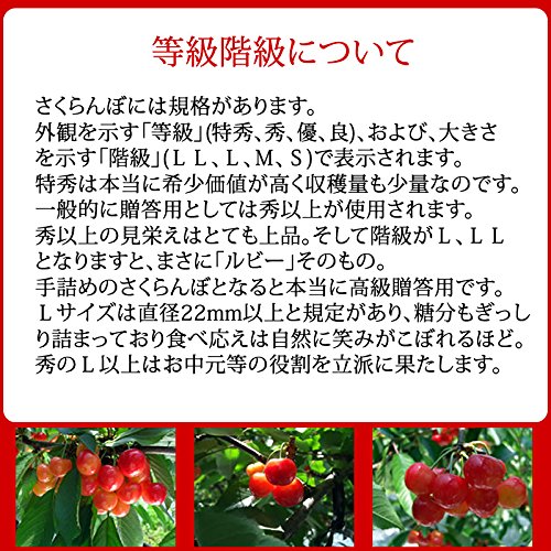 Amazon.co.jp: さくらんぼ 山形県産 クール便 ご家庭用 訳あり バラ