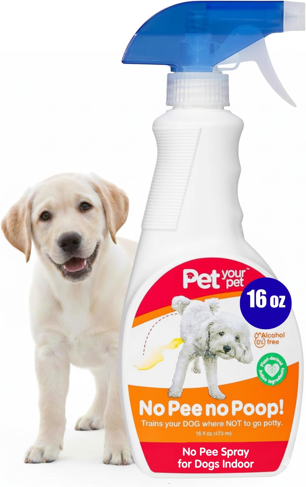 Dog Potty Training Spray No Pee No Poop, 16 Fl Oz, Non Toxic Spray for Dogs Only, Natural Pee Deterrent, Prevents Urine Marking and Pooping, Indoor Outdoor House Training Aid