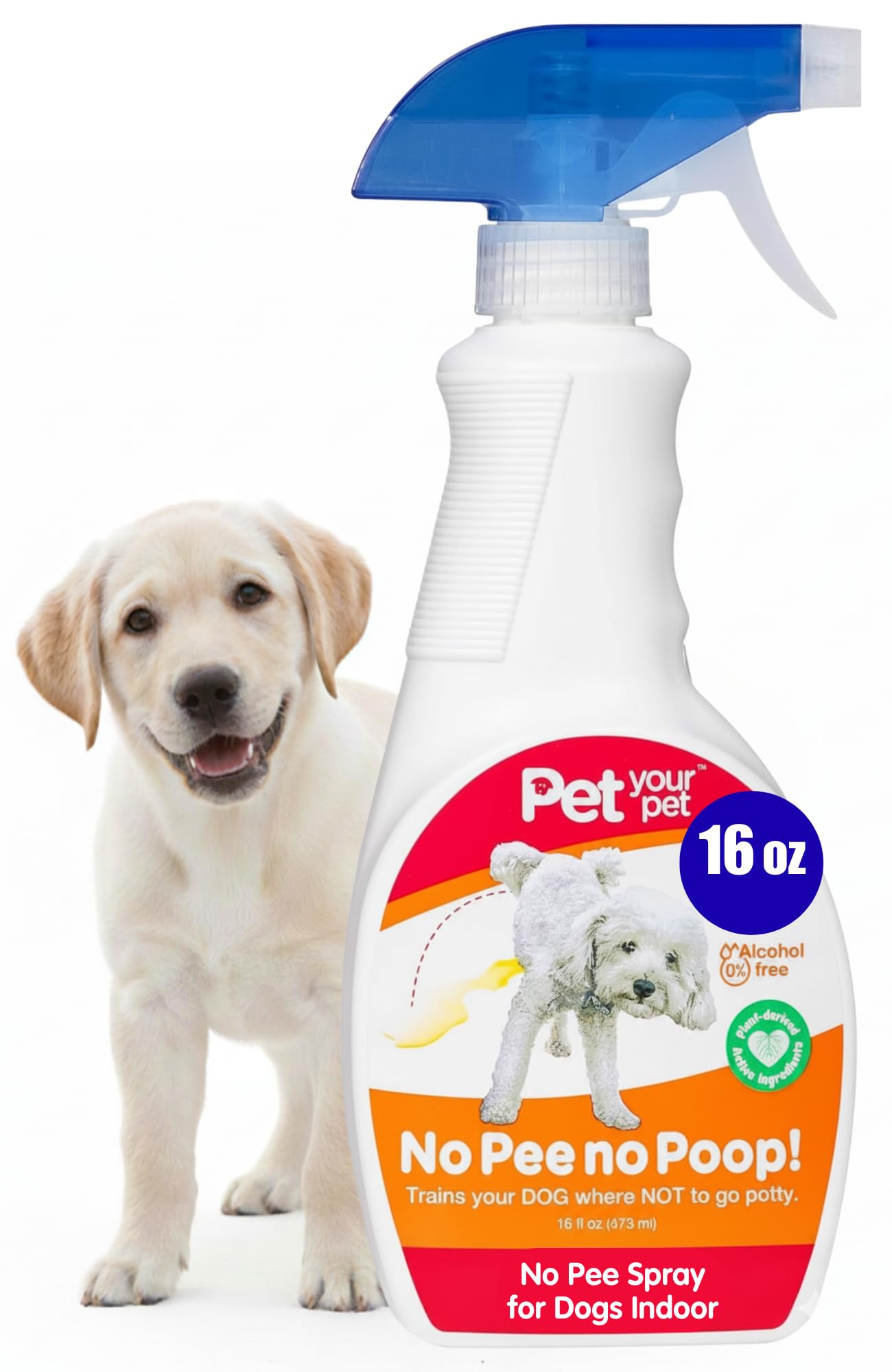 No Pee No Poop Dog Potty Training Spray, 16 Fl Oz – Non-Toxic Dog Spray to Prevent Peeing and Pooping – Natural No Urine Marking Scent Corrector - No Here Stops Dogs Peeing Indoor/Outdoor