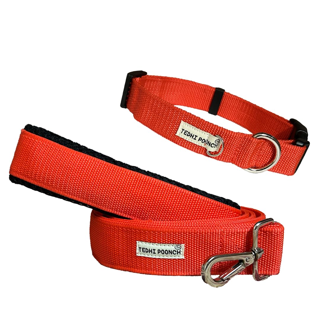 TEDHI POONCH Tarbooj Premium Adjustable Durable Training Collar and Leash Set for Dogs and Puppies | Red | Small (B0D53BQVPB) Amazon Price History, Amazon Price Tracker