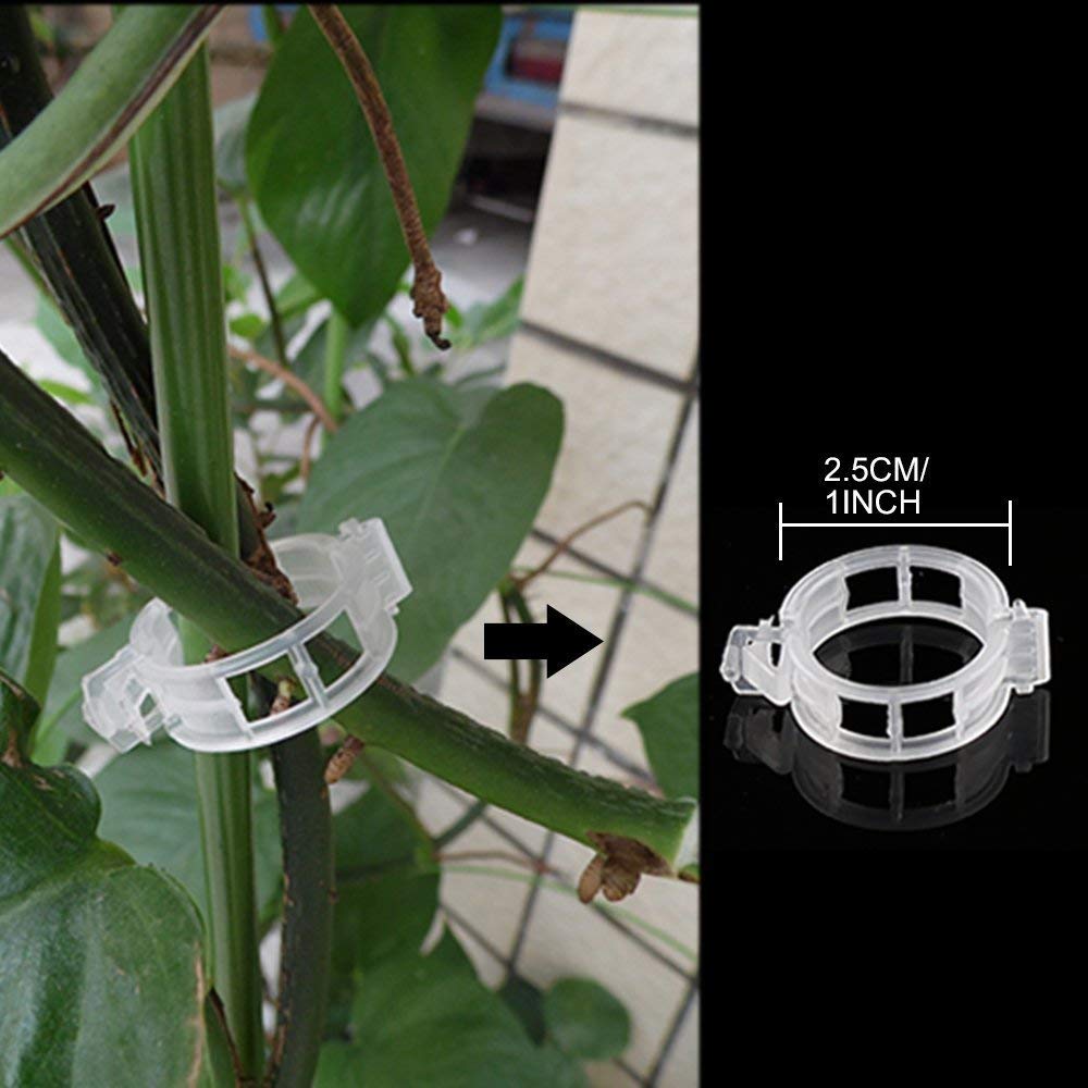 Uunquee 100 clip per piante in plastica, clip di supporto per piante, clip per pomodori, clip per piante rampicanti, clip da giardino per supporto vite e traliccio per piante