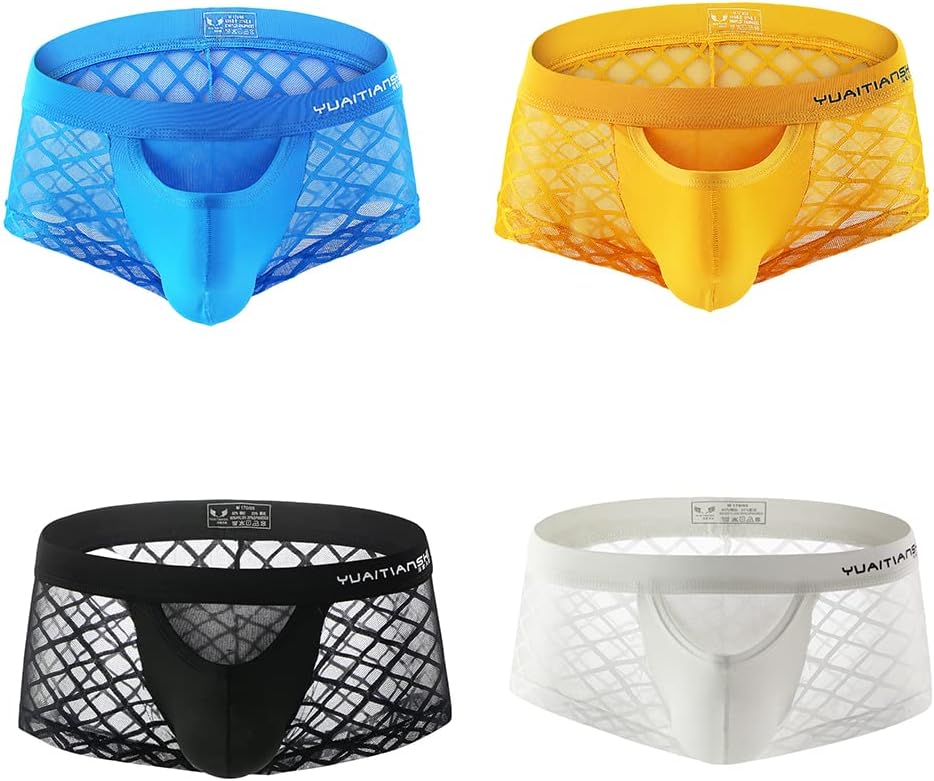 Evankin Men's See Through Sexy Boxer Briefs Underwear Male Mesh Pants Lingerie Bikini Underwearpants