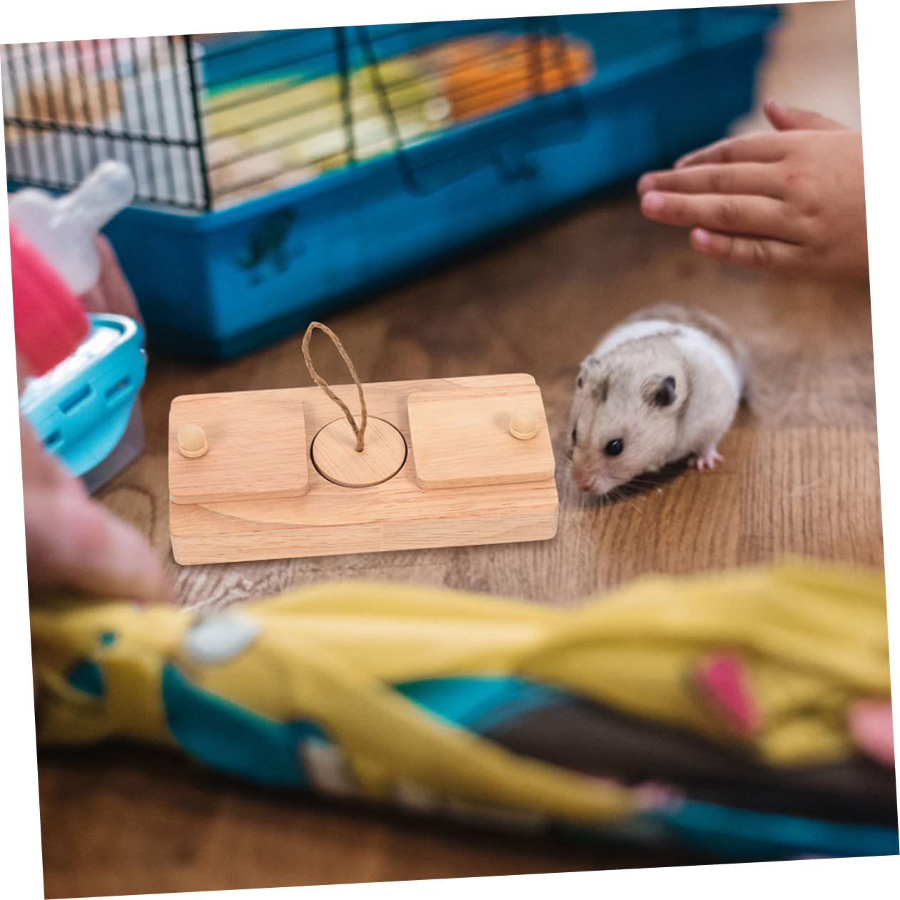 Holz Hamsterspielzeug Fördert Spiel und Bewegung, 2 Stück
