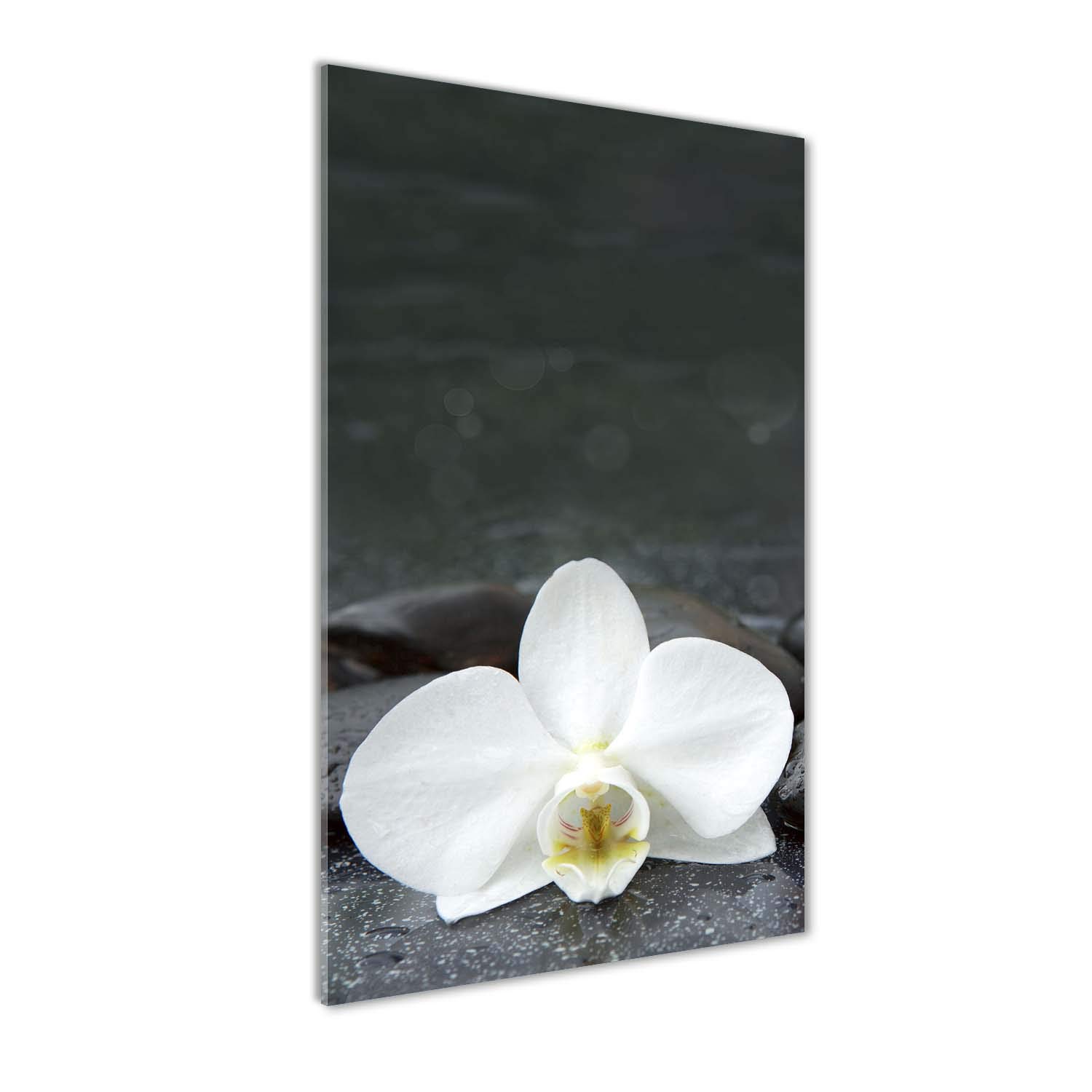 Tableaux pour la mur en plexiglas 60x120 cm de fleurs Tulup