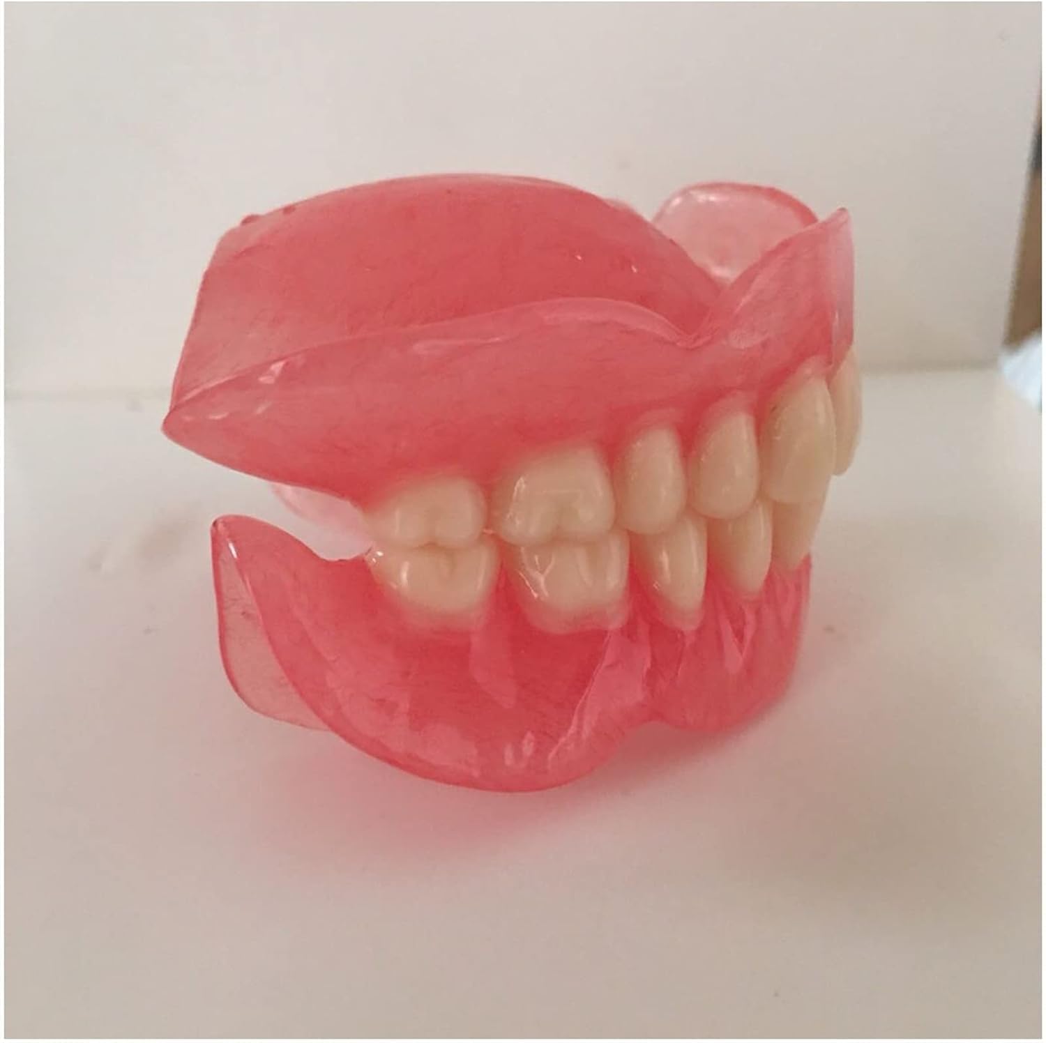 Modello di dente per l'insegnamento, strumento dimostrativo per denti superiori e inferiori, per bambini e studenti di odontoiatria, modello anatomico della bocca per studio e pratica