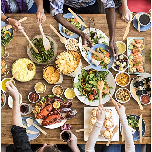 Blue Top Wooden Cutlery Set Include Fork/Spoon/Knife,100% Natural Eco-Friendly Biodegradable&Compostable,Alternative To Plastic Cutlery,Protect Earth(100 Count-40 Forks,40 Spoons,20 Knives) #TOP5