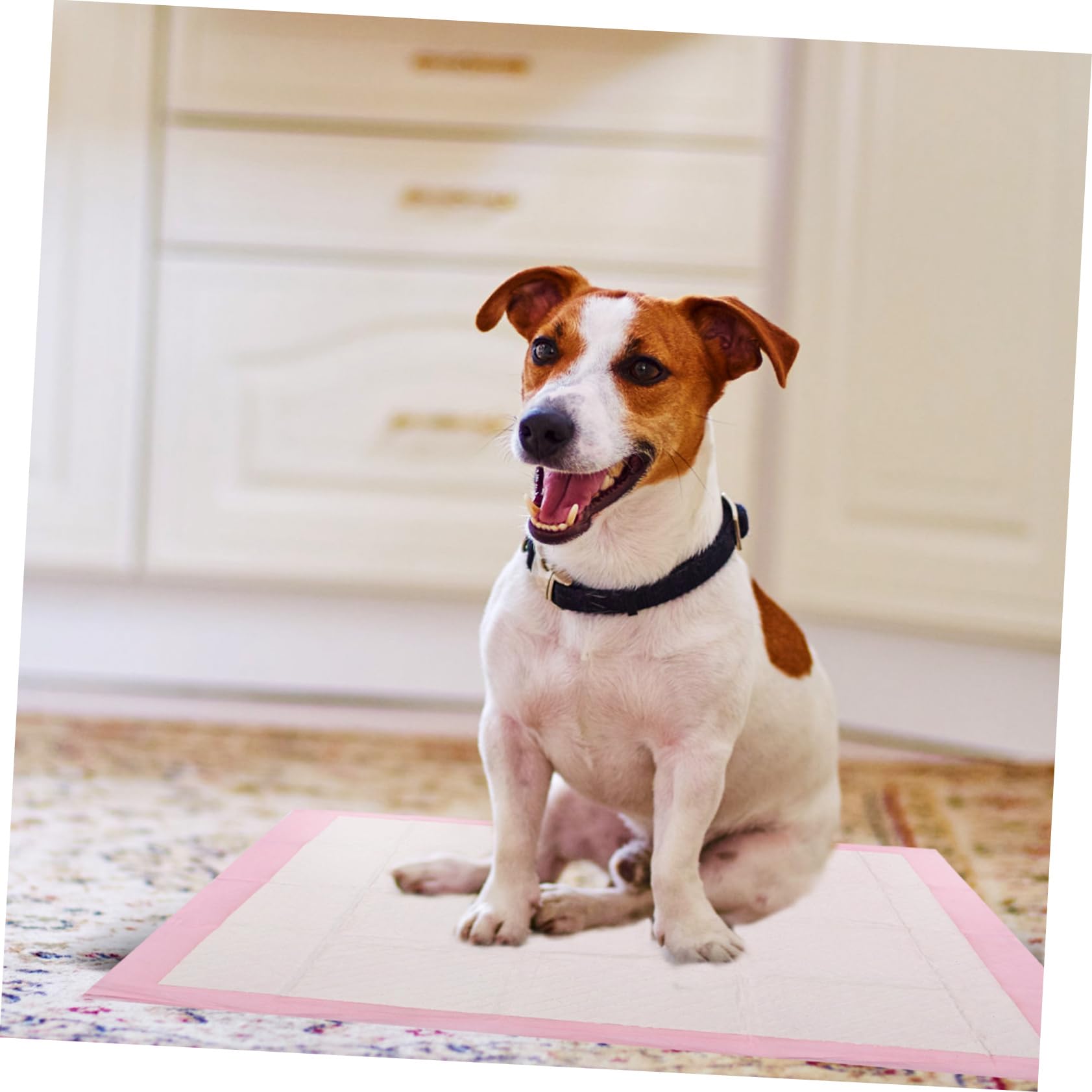 Almohadillas de Entrenamiento para Mascotas Absorbentes, 40 Piezas