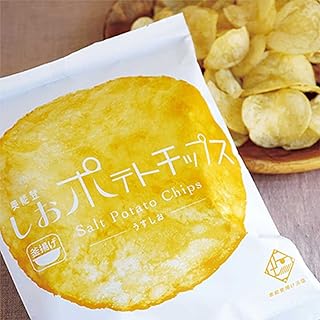 Ante 奥能登しおポテトチップス 65g