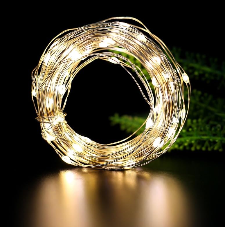 Volunx Fairy Lights String 2 in 1 Lights Battery Operated and USB Powered Remote Control 2m/5m/10m for Wedding Parties Valentine's Day Gift Christmas Decor Christmas New Year (Warm White, 2m 20LED)