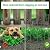NANANARDOSO 10 Pack Animal Barrier Fence, 17 Inch(H) X 10 Ft(L) No Dig Barrier Dog Fence, Rustproof Metal Wire Panel Border Fence, Dog Rabbits Ground Stakes Bottom Fence for Outdoor, Yard.