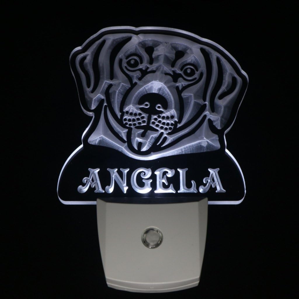 ADVPRO ws1073-tm Labrador Retriever Personalized Night Light Name Day/Night Sensor LED Sign