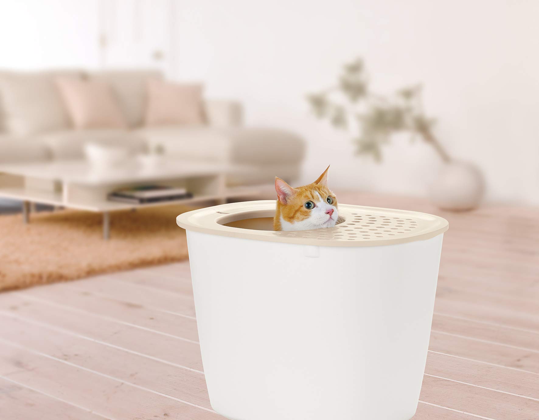 ☆ リッチェル 猫用トイレ本体 ラプレ 砂取りネコトイレ ホワイト 22 Amazon | リッチェル 猫用トイレ本体 ラプレ 砂取りネコトイレ
