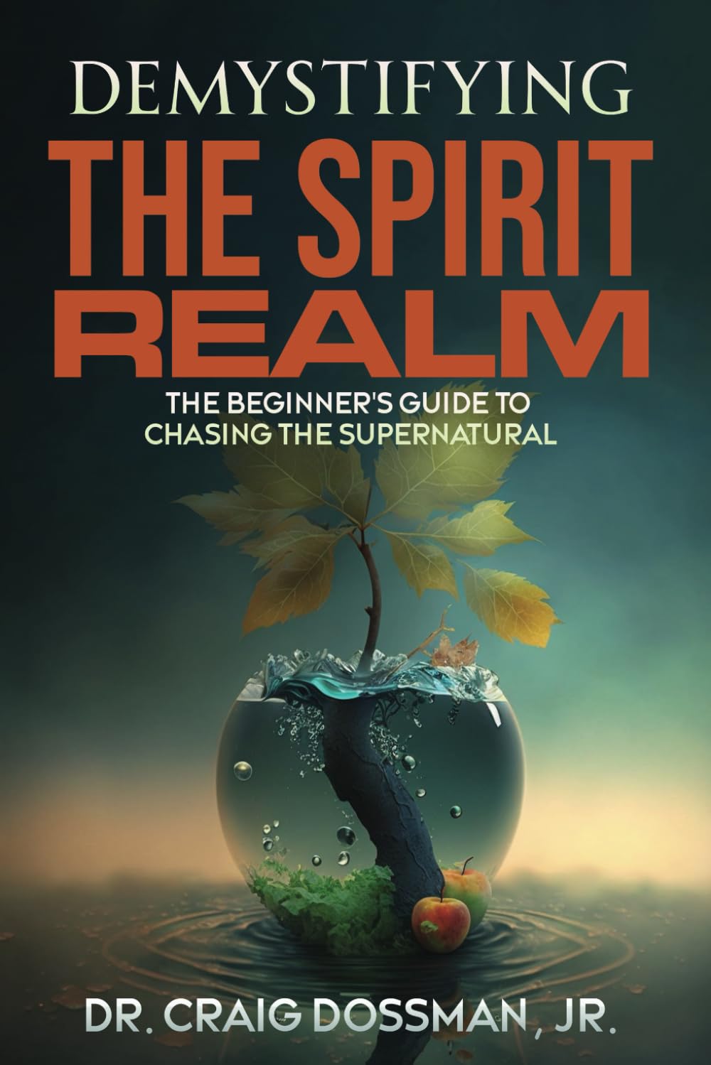 Demystifying the Spirit Realm: The Beginner's Guide to Chasing the Supernatural (The Demystifying Series)