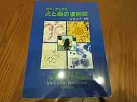 61iYu12luBL._AC_SY200_QL15_.jpg