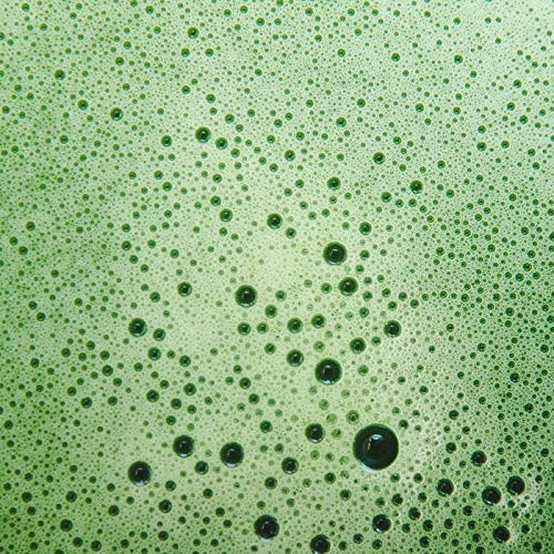 image for SAIKOU Japanese Matcha Green Tea Powder - Authentic Organic Ceremonial