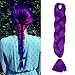 Produktbild Braids Extensions Flechten Hair Extensions Crochet Haar Kunsthaar Kanekalon Colorful 1pcs-24"-100g Dunkellila
