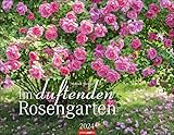 Im duftenden Rosengarten - Kalender 2024 - Weingarten-Verlag - Duftkalender mit wundervollen Gartenanlagen - 44 cm x 34 cm