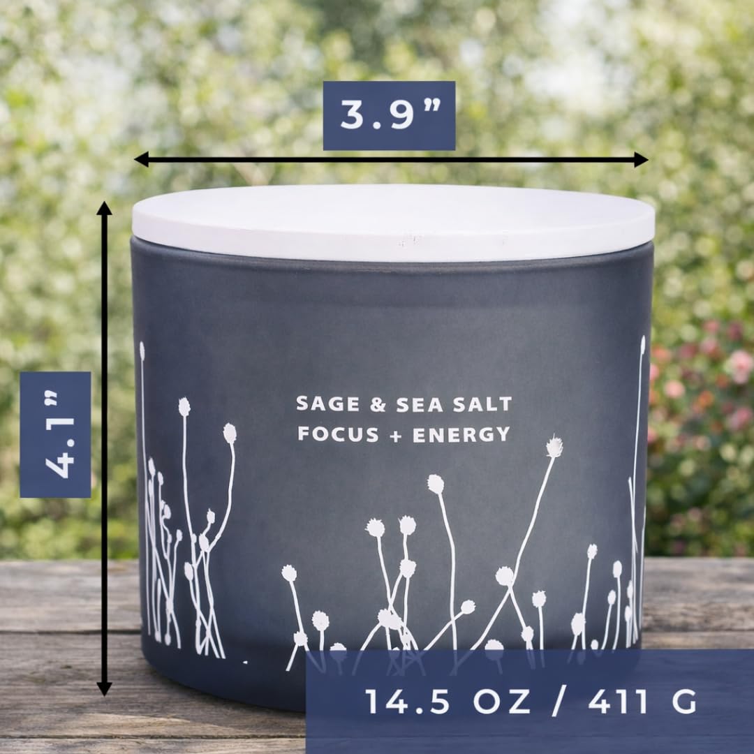 Amazon.co.jp: Sage Sea Salt ソイキャンドル 14オンス | クレンジング