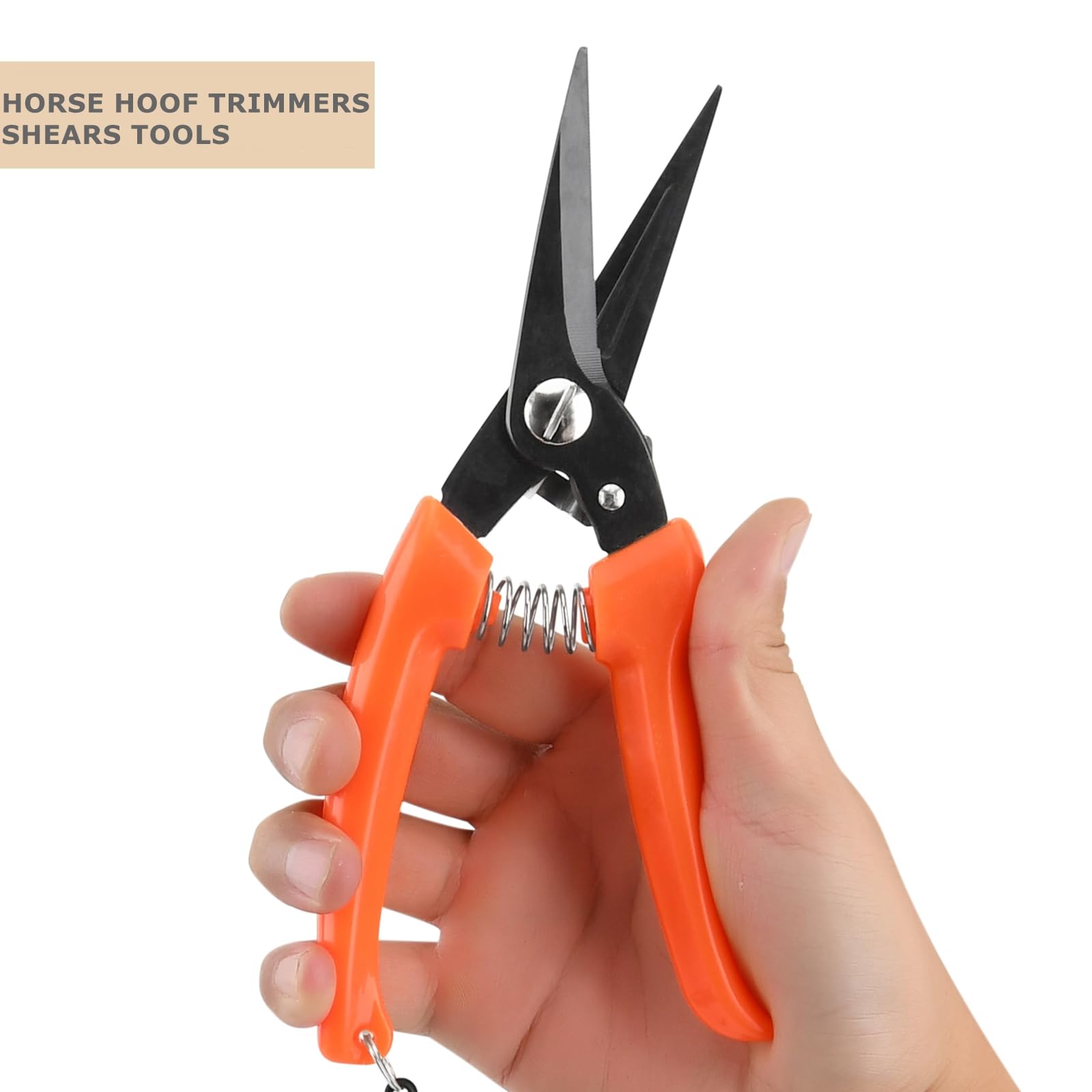 7 PCS Farrier Tool Kits Professional Hoof Trimming Farrier Tools for Horses Cattle Goat Donkey Pig,Includes 14 Inch Hoof Nipper,Hoof Rasp,Hoof Trimmers,Hoof Knife and Brush,Mini Hoof Rasp,Carry Bag - image 4