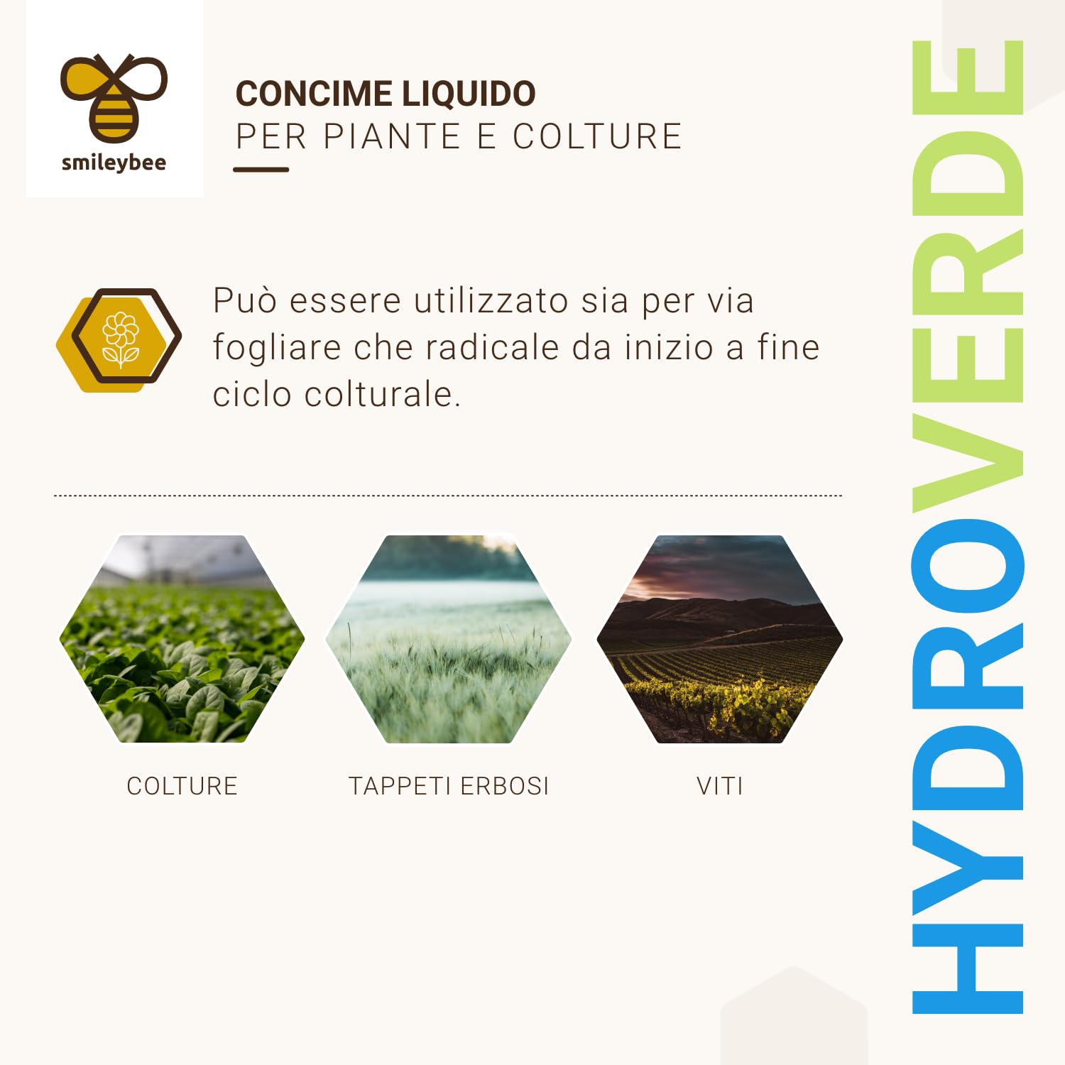 Hydroverde Concime Liquido Fertilizzante Biostimolante a Base di Amminoacidi, 100% Biologico - Nutre e Protegge la Pianta in Modo Completamente Naturale - 5 Litri