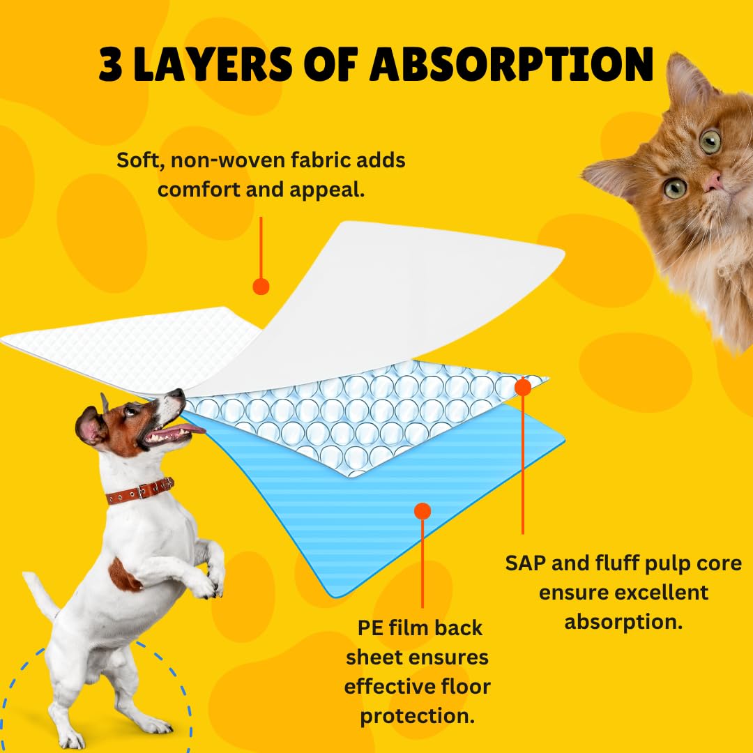 PH TIDY Pet Training Pads with Quick Drying Surface and Absorbent Core | (60x90 CM) | Pack of 9 | (90 Pieces) 1