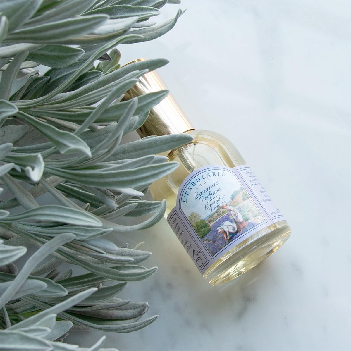 L'Erbolario Lavendel Eau de Parfum, 1er Pack (1 x 50 ml)