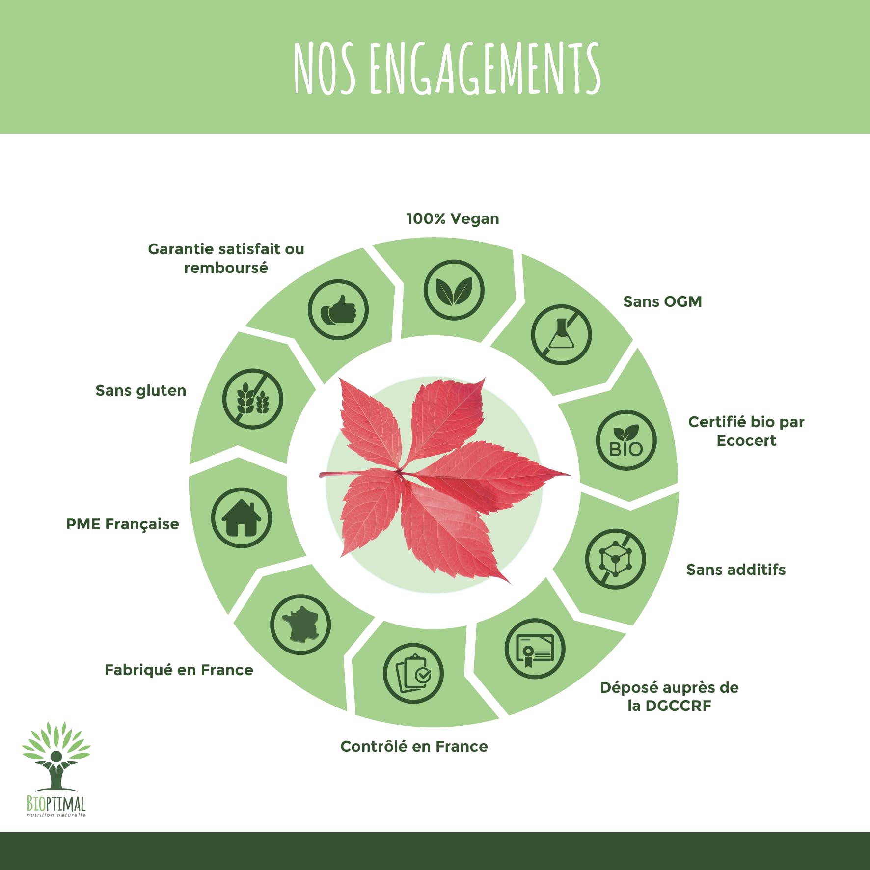 Vigne rouge Bio - Complément alimentaire Bioptimal - Jambes Lourdes Peau Saine Circulation Sanguine Hémorroïdes - 300 mg de Feuille de Vigne x gélule - Made in France - Certifié Ecocert - 200 gélules