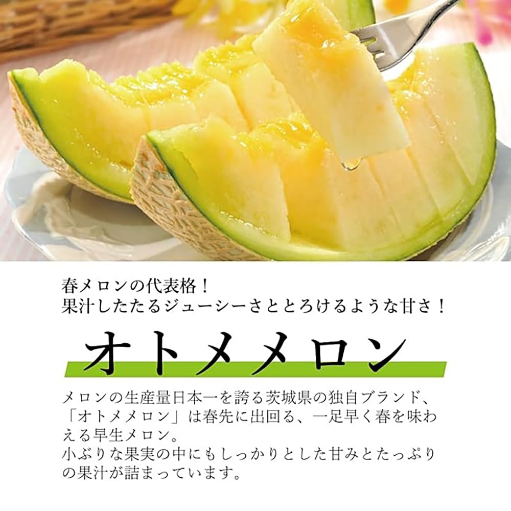 Amazon.co.jp: えびねの多菜生活 メロン 高級 国産 アンデス JA共選 秀
