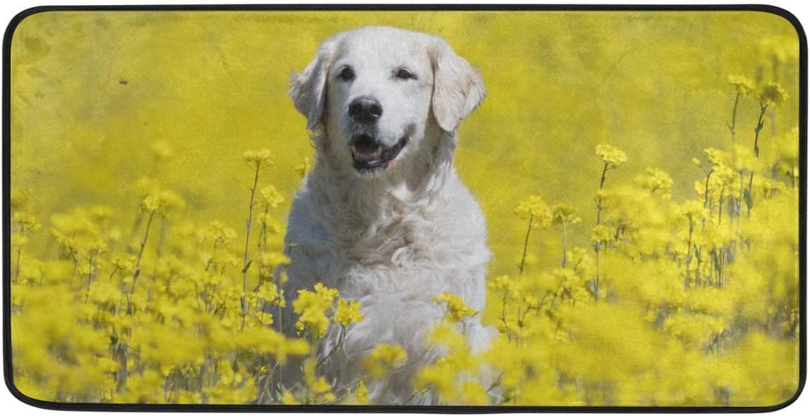 HZLM Felpudos alfombras de baño para exteriores/interiores de la puerta Golden Retriever alfombra de piso felpudos para sala de estar