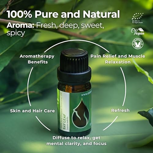 Miniatura 5 de Essences Bulgaria Aceite esencial de hoja de laurel orgánico, 13 fl oz, 0.3 fl oz, Laurus nobilis, 100% puro y natural, sin diluir, grado