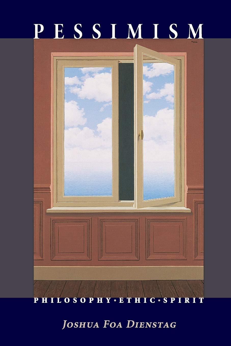 Pessimism: Philosophy, Ethic, Spirit cover