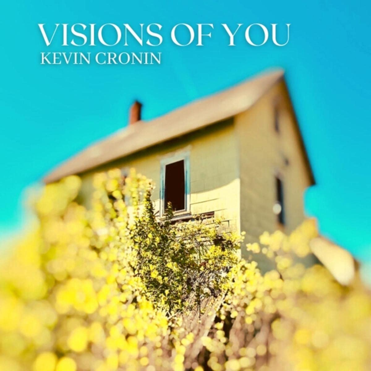 Kevin Cronin