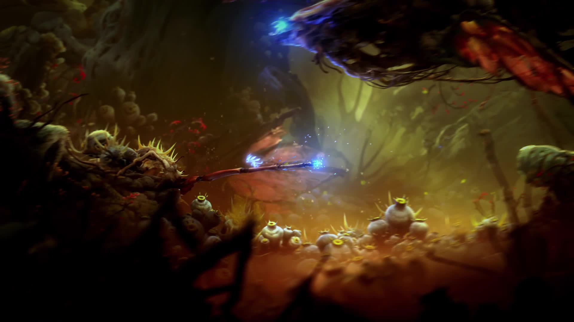 Ori And The Will Of The Wisps Le Nouveau Jeu De Moon Studios Sur Xbox One Et Pc