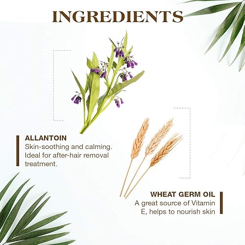 Miniatura 3 de GiGi Tiras de cera depilatoria para el cuerpo, preenceradas con fórmula GiGi multiusos Honee, kit de depilación para mujeres, 12 tiras + loción para