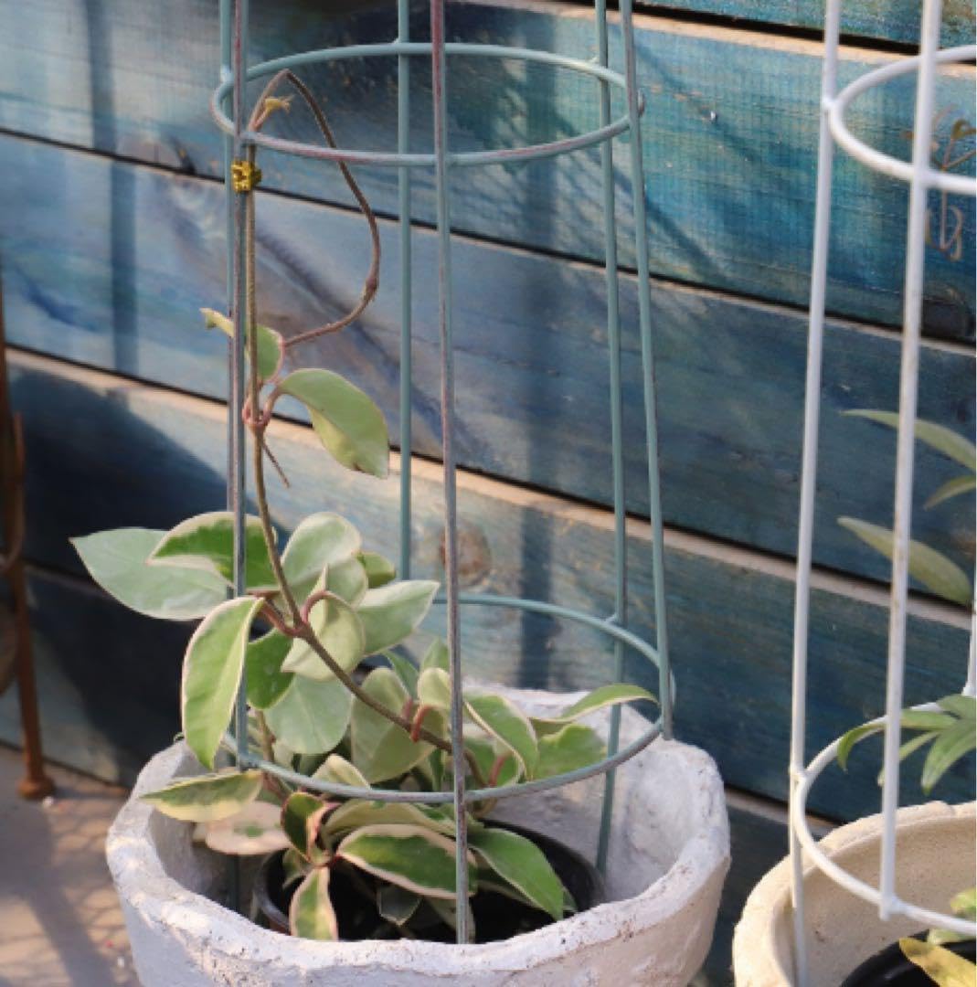 【美品】ARCH BENZ プレイキュー（ハイテクシャフト）＋エクステンション 美品】ARCH BENZ プレイキュー（ハイテクシャフト）＋